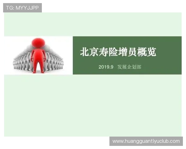 北京联赛球队概览与发展历程分析
